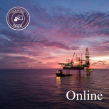 IFRS For Mining, Oil & Gas, Petrochemical, Power, & Utility Sectors | Online | Shasat