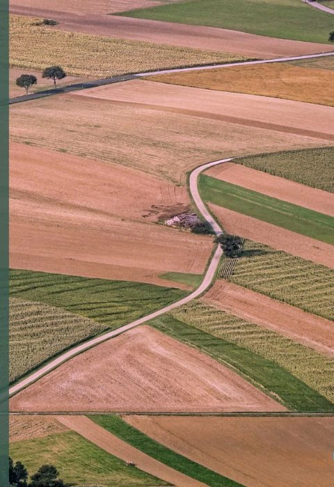 Sustainability and ESG Services | Shasat Consulting