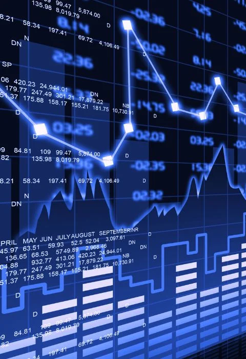 IPO Readiness Services | Shasat Consulting