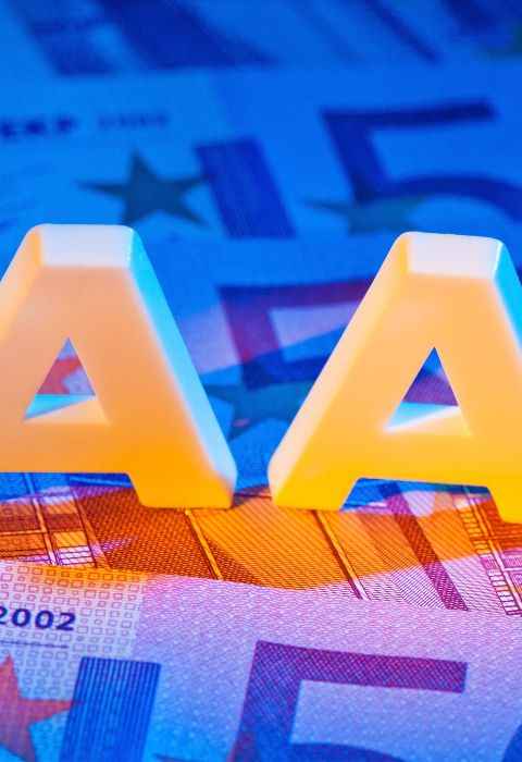 Valuation of Credit Risk | Independent Valuation Services | Shasat
